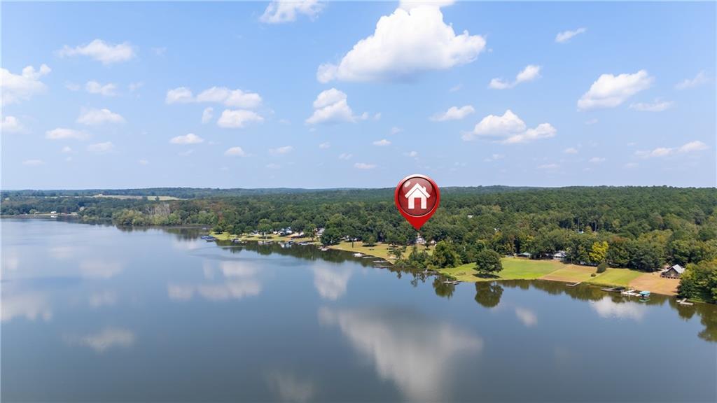 1631 Arrowhead Road Greensboro, GA 30642 - Photo 46 of 83 a view of a lake view