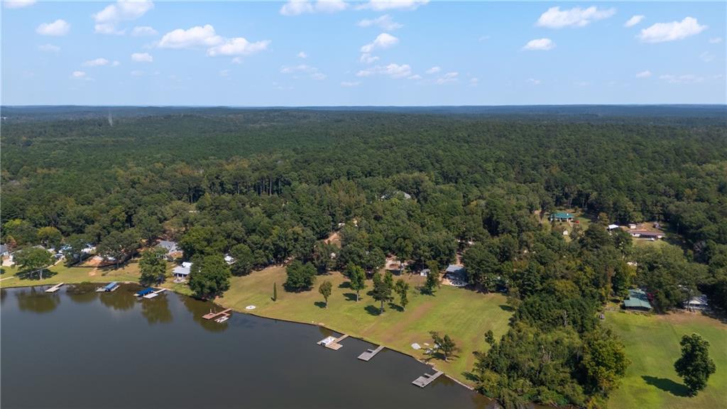 1631 Arrowhead Road Greensboro, GA 30642 - Photo 47 of 83