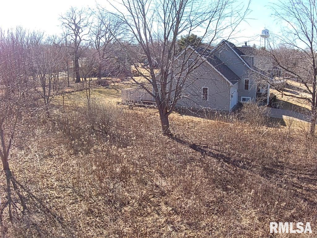 1055 Lakeview Road North, Unit NORTH Dahinda, IL 61428 - Photo 6 of 10 Gallery Image 6