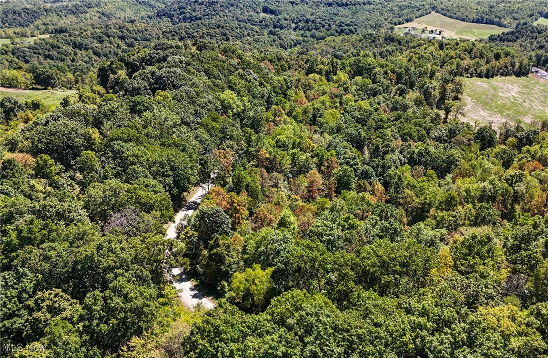 36880 Sheepskin Ridge Road Lower Salem, OH 45745 - Photo 6 of 29 Bird's eye view