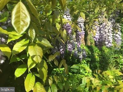 3528 Hamlet Place, Unit 808 Chevy Chase, MD 20815 - Photo 62 of 62