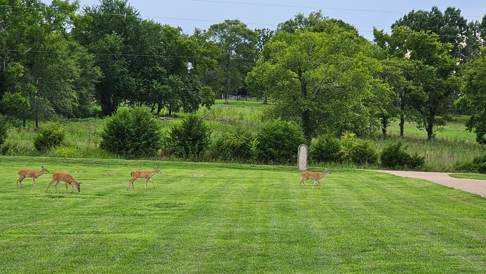 1730 Dillon Road Milton, TN 37118 - Photo 9 of 57 Gallery Image 9