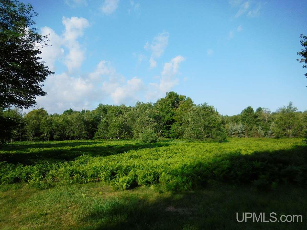 Tbd Tee Lake Road Germfask, MI 49836 - Photo 3 of 25