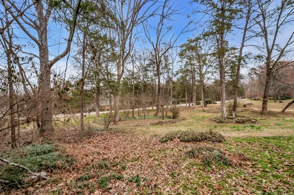 a view of yard with trees