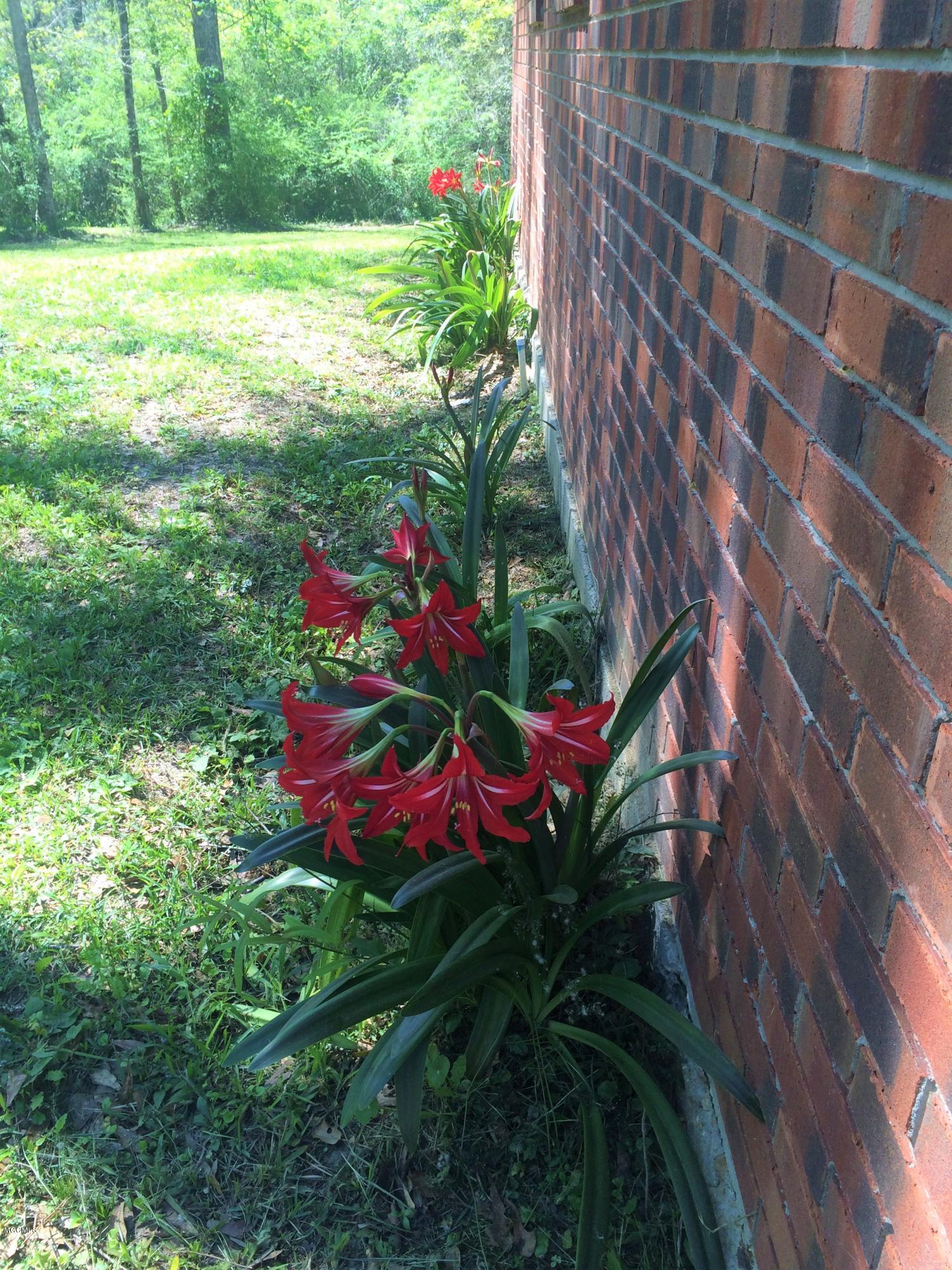 10 Anderson Road Perkinston, MS 39573 - Photo 11 of 40 IMG_6162