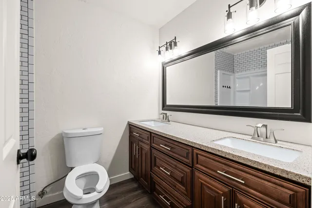 a bathroom with a granite countertop toilet sink and mirror