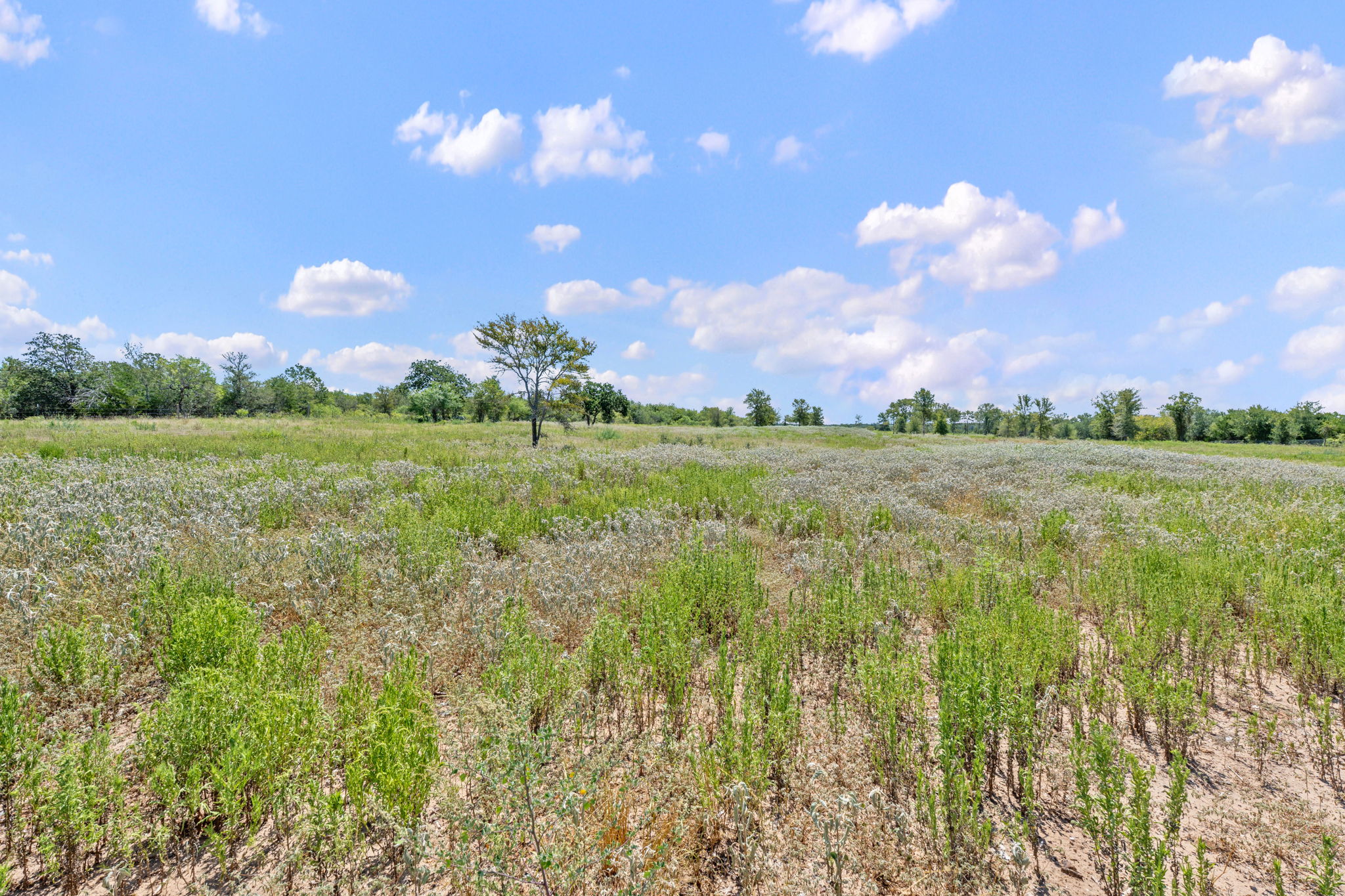 1385 Pettytown Road Dale, TX 78616 - Photo 12 of 17 View of undeveloped land featuring rural landscape