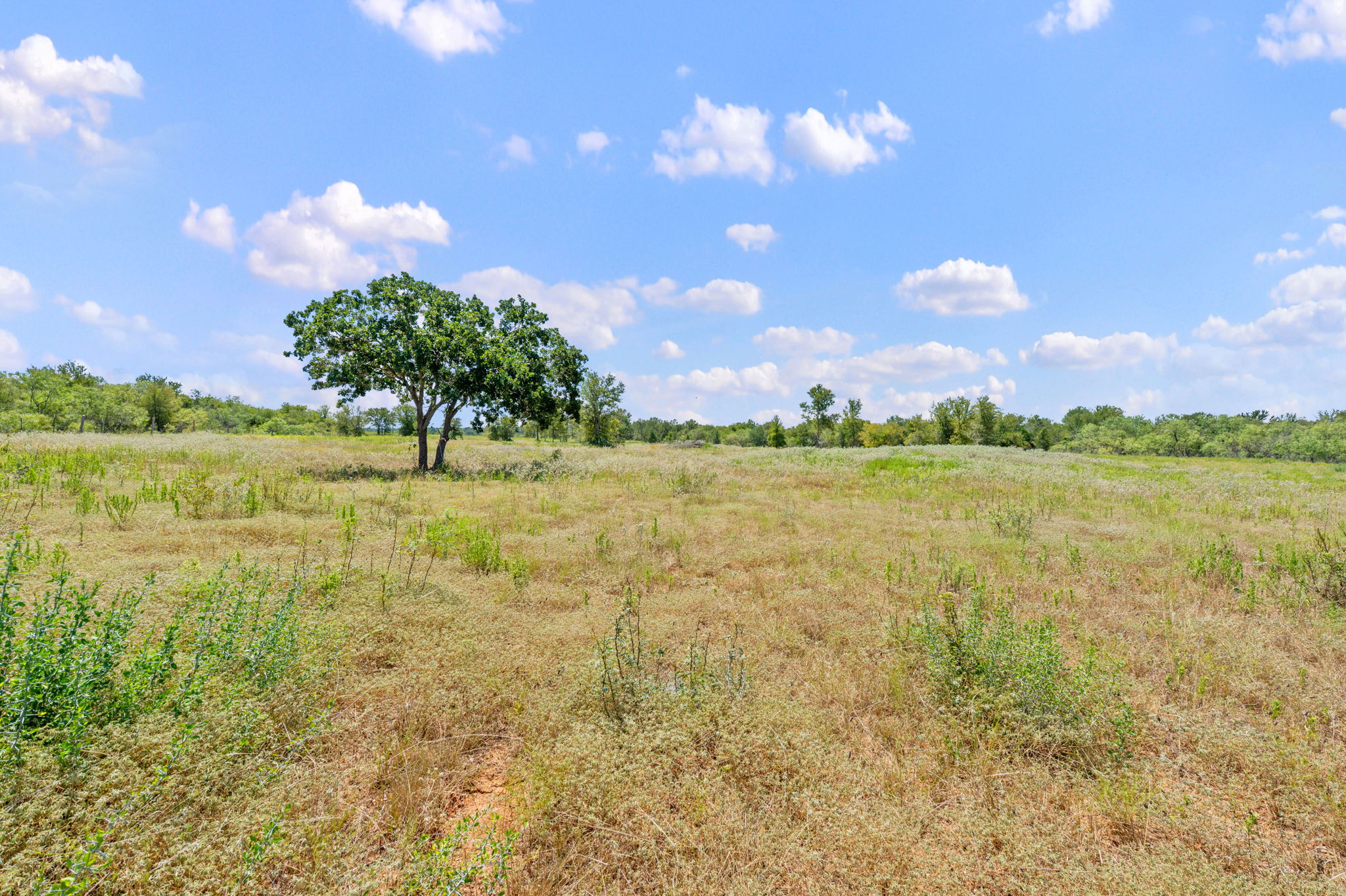 1385 Pettytown Road Dale, TX 78616 - Photo 13 of 17 View of undeveloped land featuring rural landscape