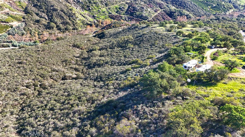 3 Vuelta Grande Road Temecula, CA 92590 - Photo 15 of 37 a view of a lush green forest with large trees