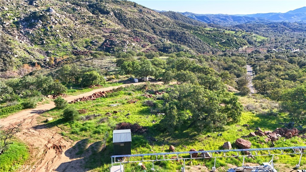 3 Vuelta Grande Road Temecula, CA 92590 - Photo 5 of 37 a view of a lush green forest with a tree