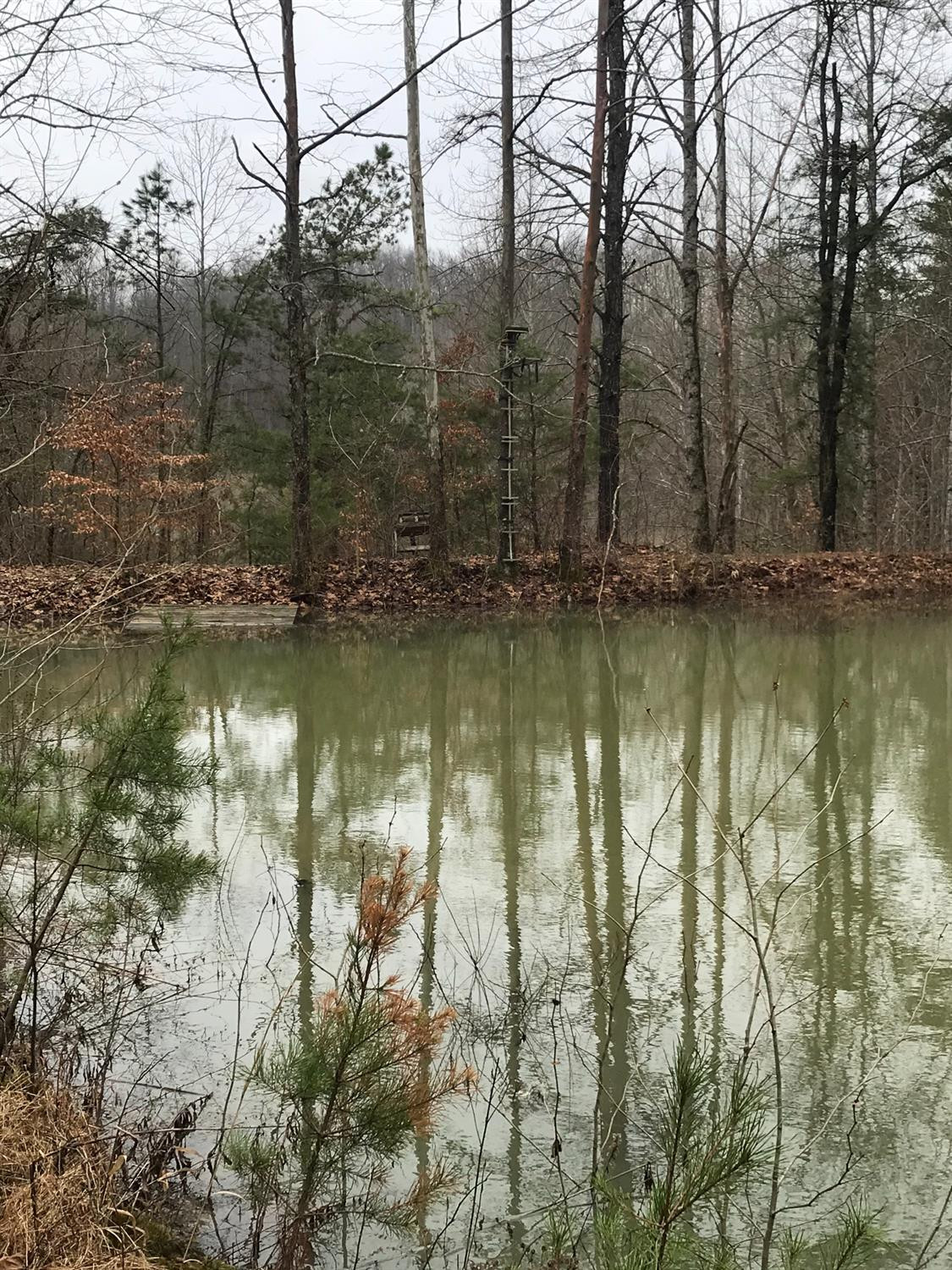 3983 Upper Gilmore Road Campton, KY 41301 - Photo 23 of 32 Photo 23
