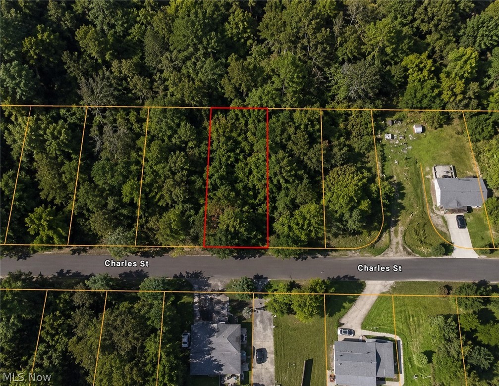 0 Charles Street Mansfield, OH 44903 - Photo 4 of 12