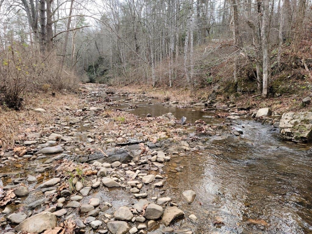 2743 Max Creek Road Hiwassee, VA 24347 - Photo 23 of 25 Gallery Image 23