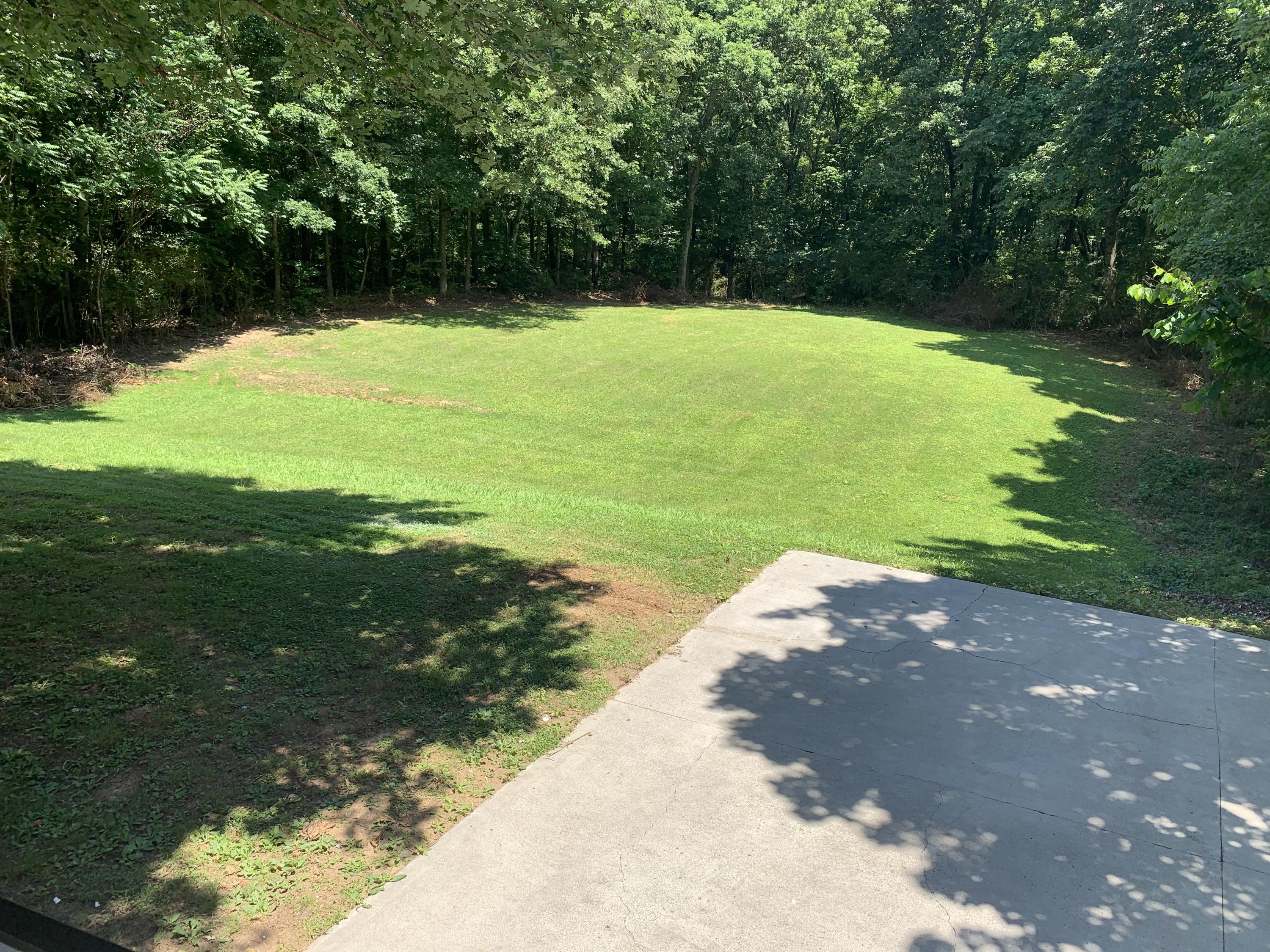 13120 Harrison Road Knoxville, TN 37934 - Photo 22 of 23 Rear Yard
