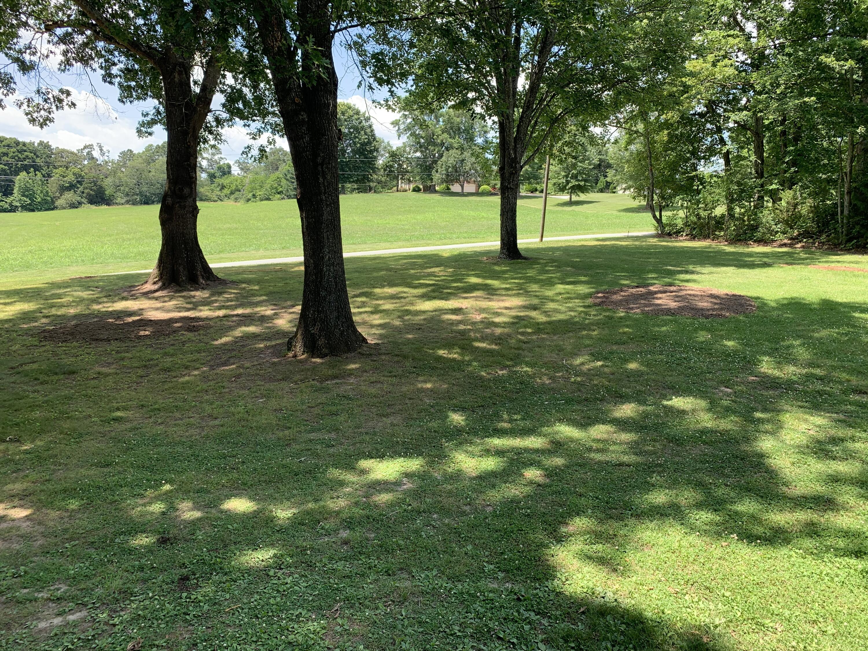 13120 Harrison Road Knoxville, TN 37934 - Photo 23 of 23 Front Yard
