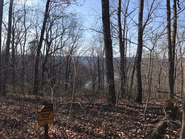 1 Southwest Cornette Cemetery Road Morehead, KY 40351 - Photo 11 of 12 View from property at NFS property line