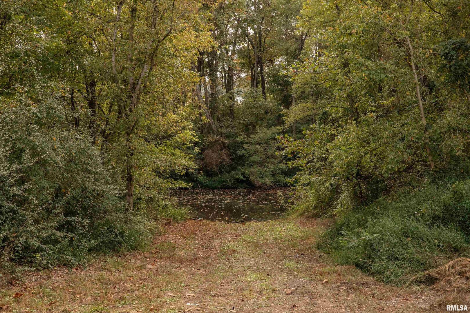 0 Legion Road Stonefort, IL 62917 - Photo 29 of 34 a view of a yard with large trees