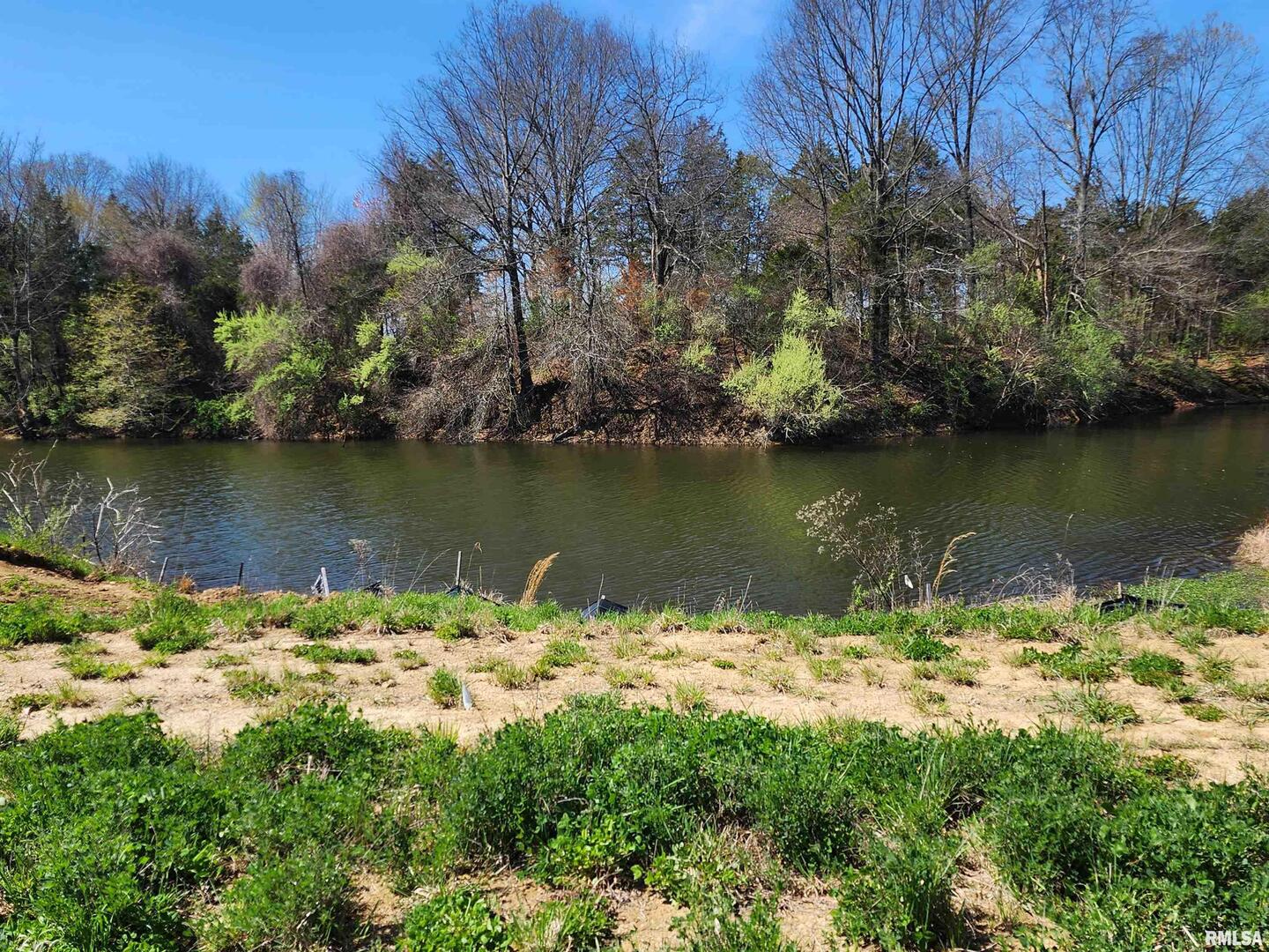0 Legion Road Stonefort, IL 62917 - Photo 33 of 34 a view of a lake with a yard