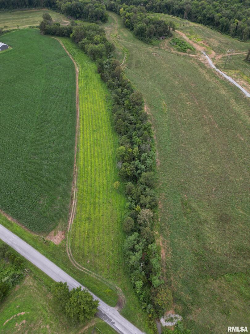 0 Legion Road Stonefort, IL 62917 - Photo 10 of 34 a view of a garden