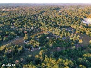 63 Grady Diamond Road Perkinston, MS 39573 - Photo 1 of 2 Grady Diamond Land