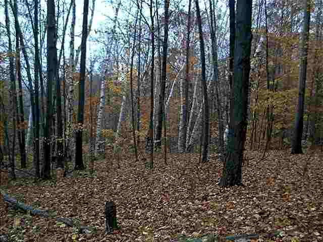 0 The Intervale Road Greenwich, NY 12834 - Photo 1 of 11 Photo 1