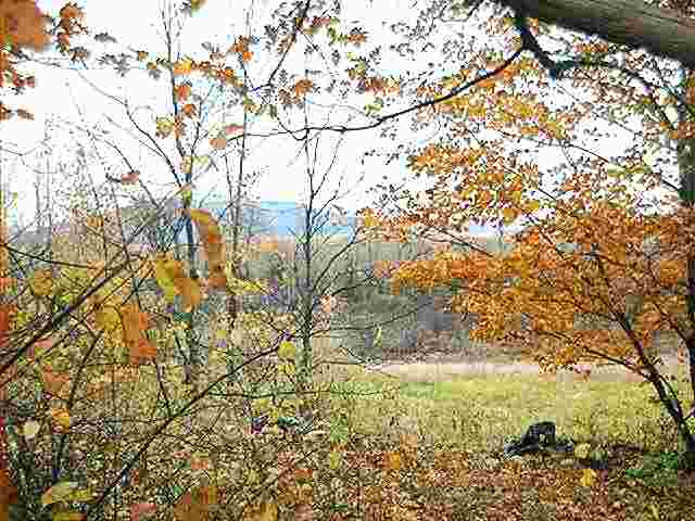 0 The Intervale Road Greenwich, NY 12834 - Photo 11 of 11 Photo 11