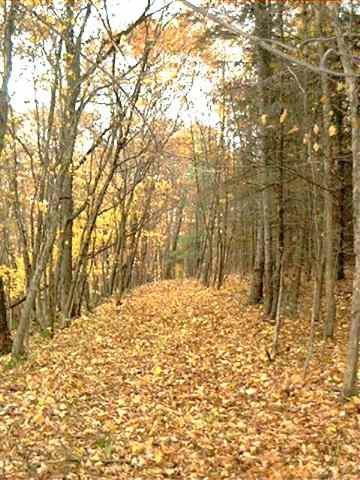 0 The Intervale Road Greenwich, NY 12834 - Photo 4 of 11 Photo 4