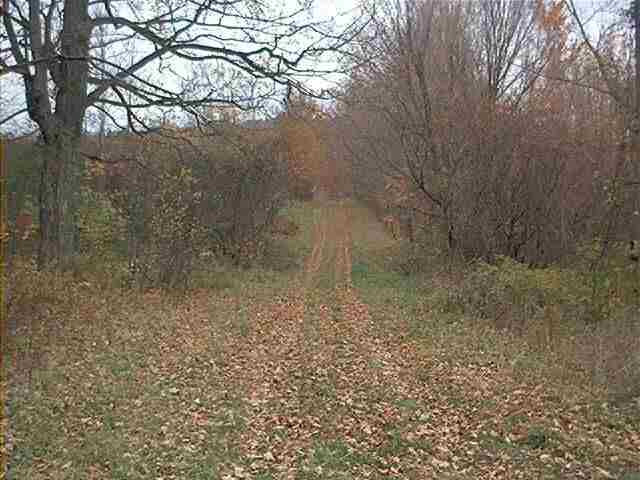 0 The Intervale Road Greenwich, NY 12834 - Photo 5 of 11 Photo 5