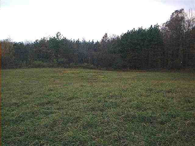 0 The Intervale Road Greenwich, NY 12834 - Photo 7 of 11 Photo 7