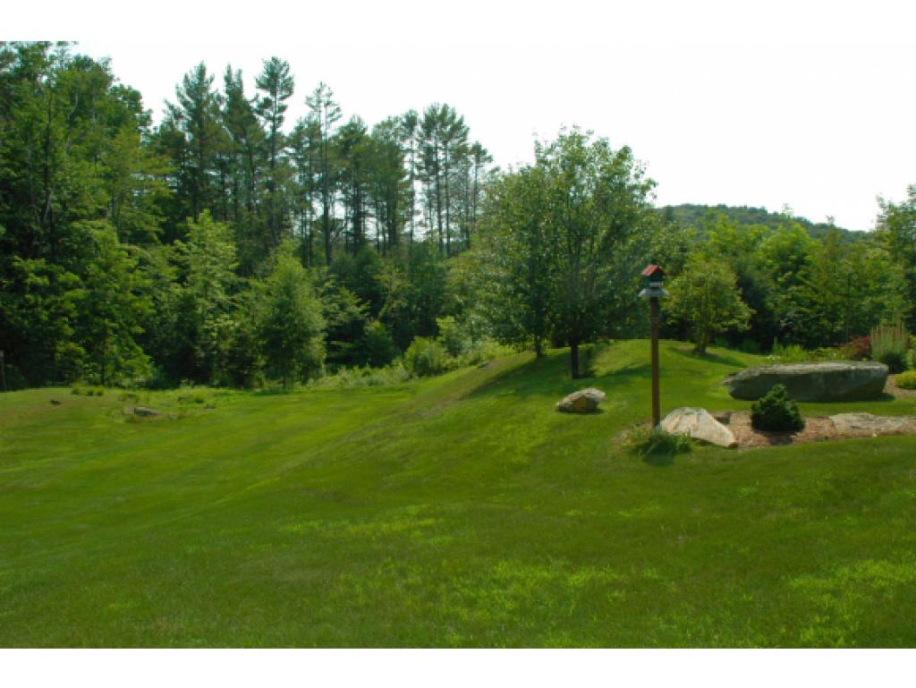 1226 Deer Valley Road Townshend, VT 05353 - Photo 11 of 36