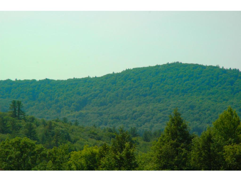1226 Deer Valley Road Townshend, VT 05353 - Photo 4 of 36