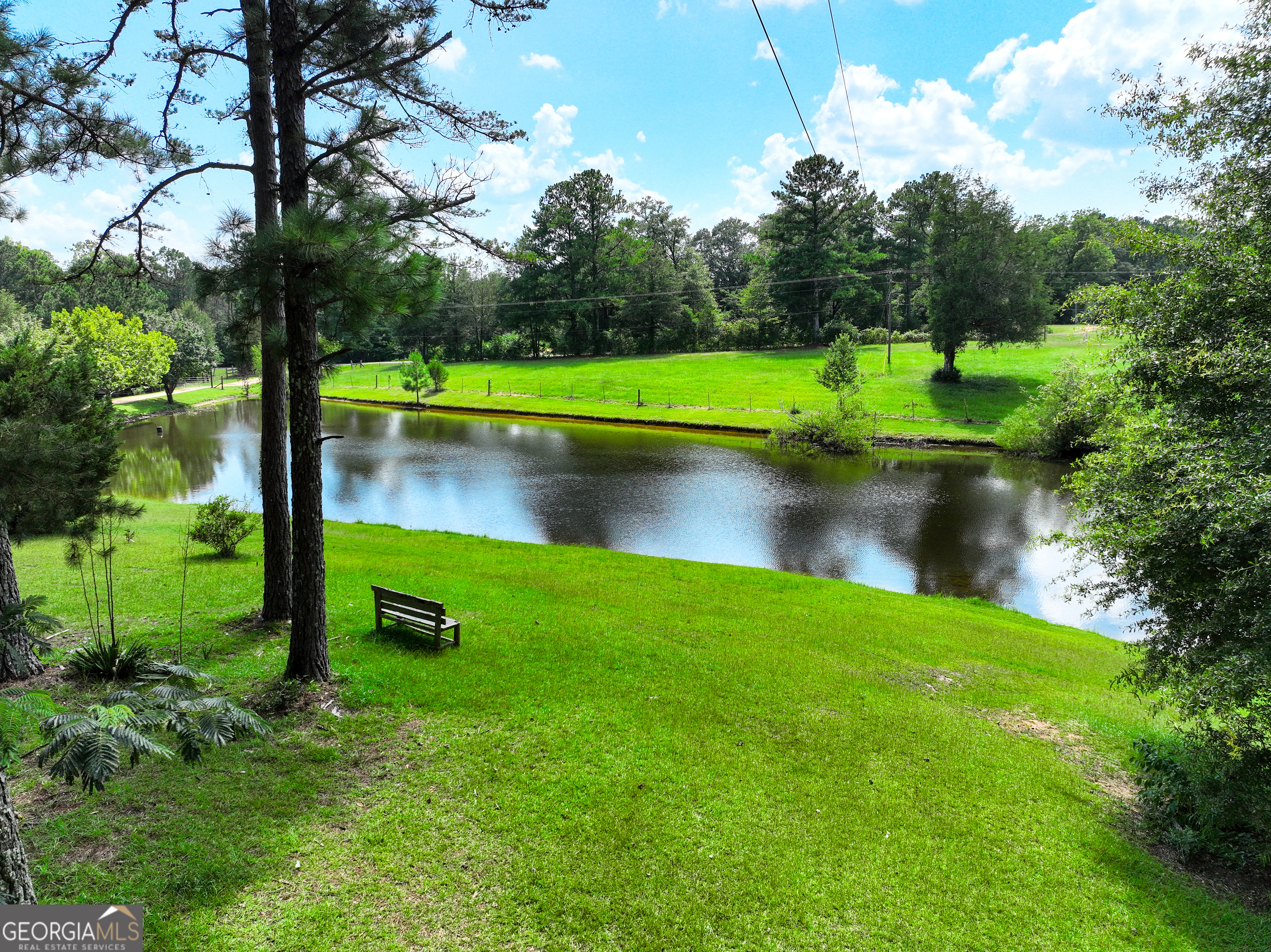 2034 County Road 108 Lafayette, AL 36862 - Photo 1 of 1 a view of a lake with a yard