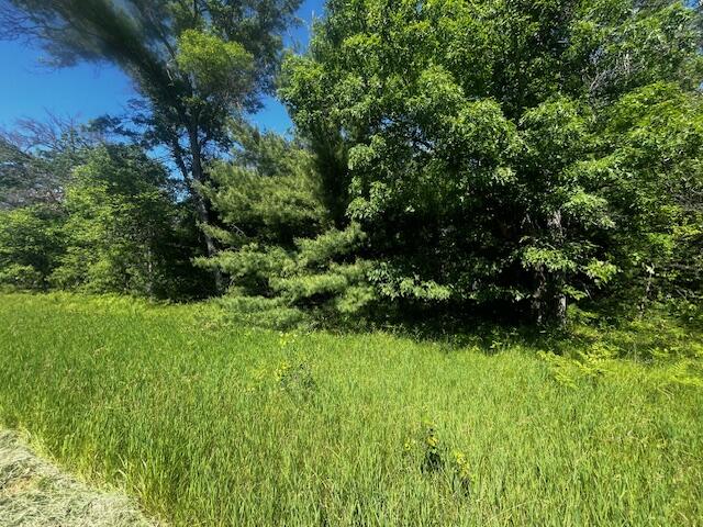 1 M-37 Baldwin, MI 49304 - Photo 2 of 15