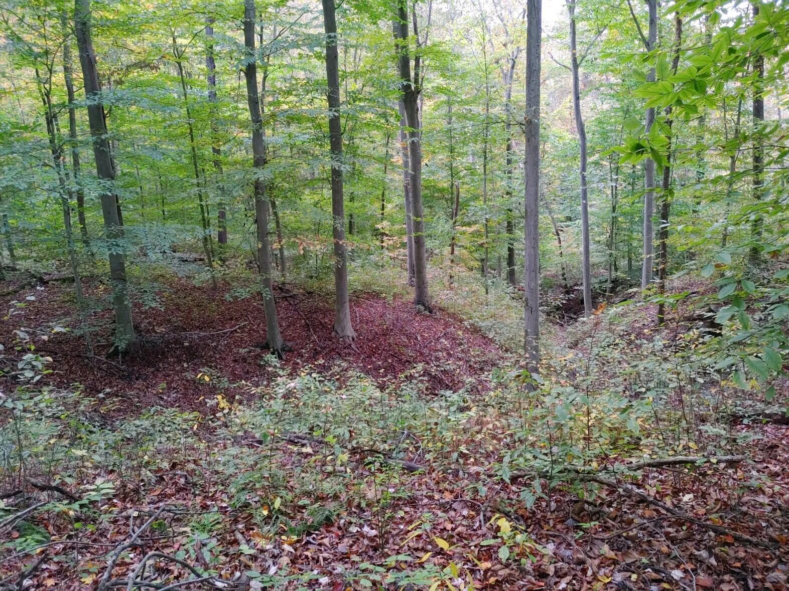 8600 Walnut Dowler Road Logan, OH 43138 - Photo 7 of 24 111