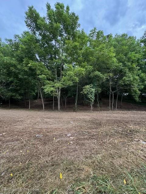 0 Haggerty Road New Galilee, PA 16141 - Photo 5 of 10 Gallery Image 5
