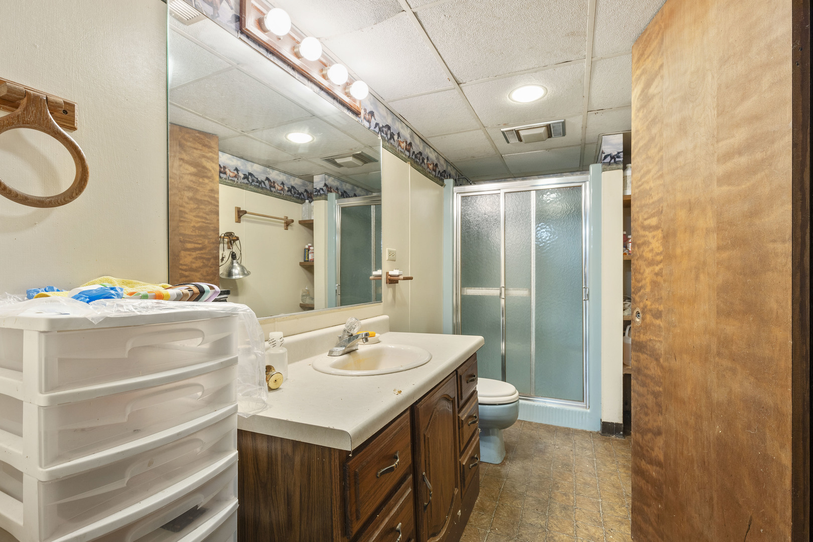 1010 Sunset Road Spring Grove, IL 60081 - Photo 36 of 40 a bathroom with a sink a toilet and a mirror