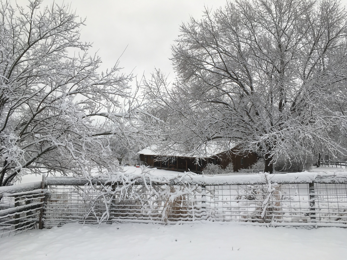 1010 Sunset Road Spring Grove, IL 60081 - Photo 40 of 40 a view of outdoor space and yard