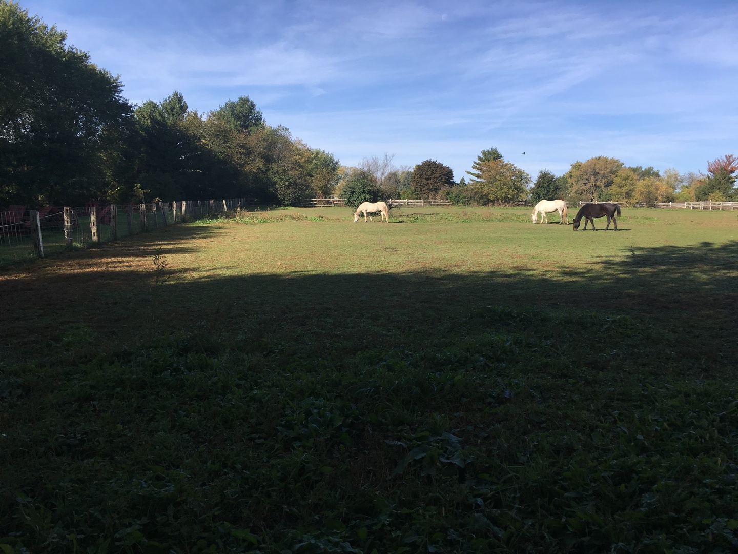 1010 Sunset Road Spring Grove, IL 60081 - Photo 5 of 40 a view of a golf course with a lake