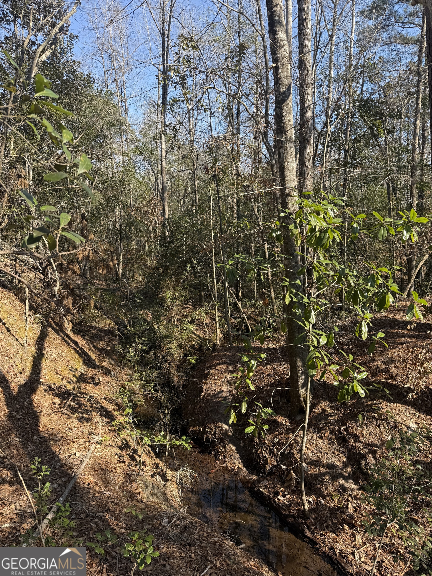 140 Keas Church Circle Adrian, GA 31002 - Photo 11 of 26 a view of a tree