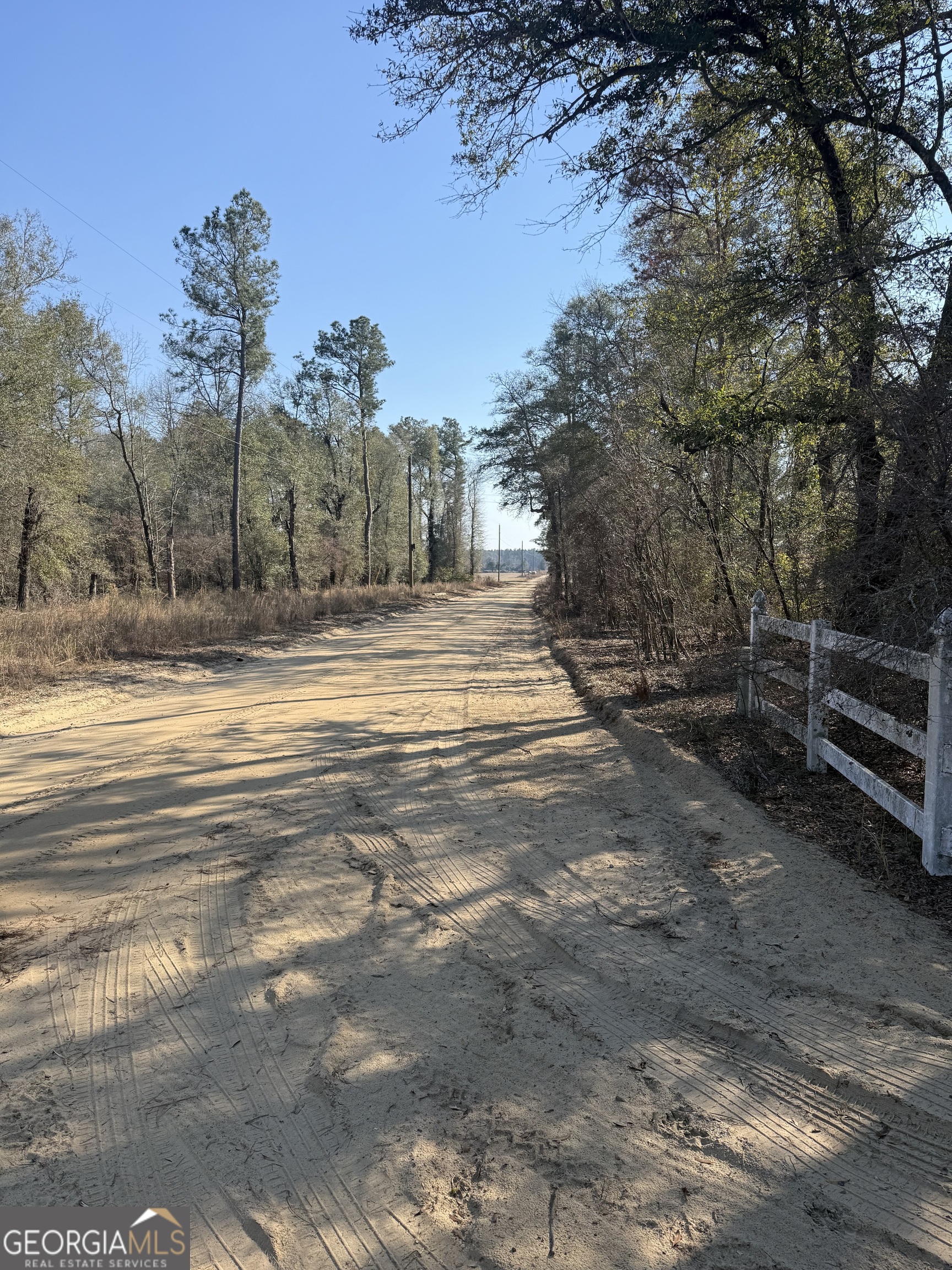 140 Keas Church Circle Adrian, GA 31002 - Photo 13 of 26 a view of a yard with tree s