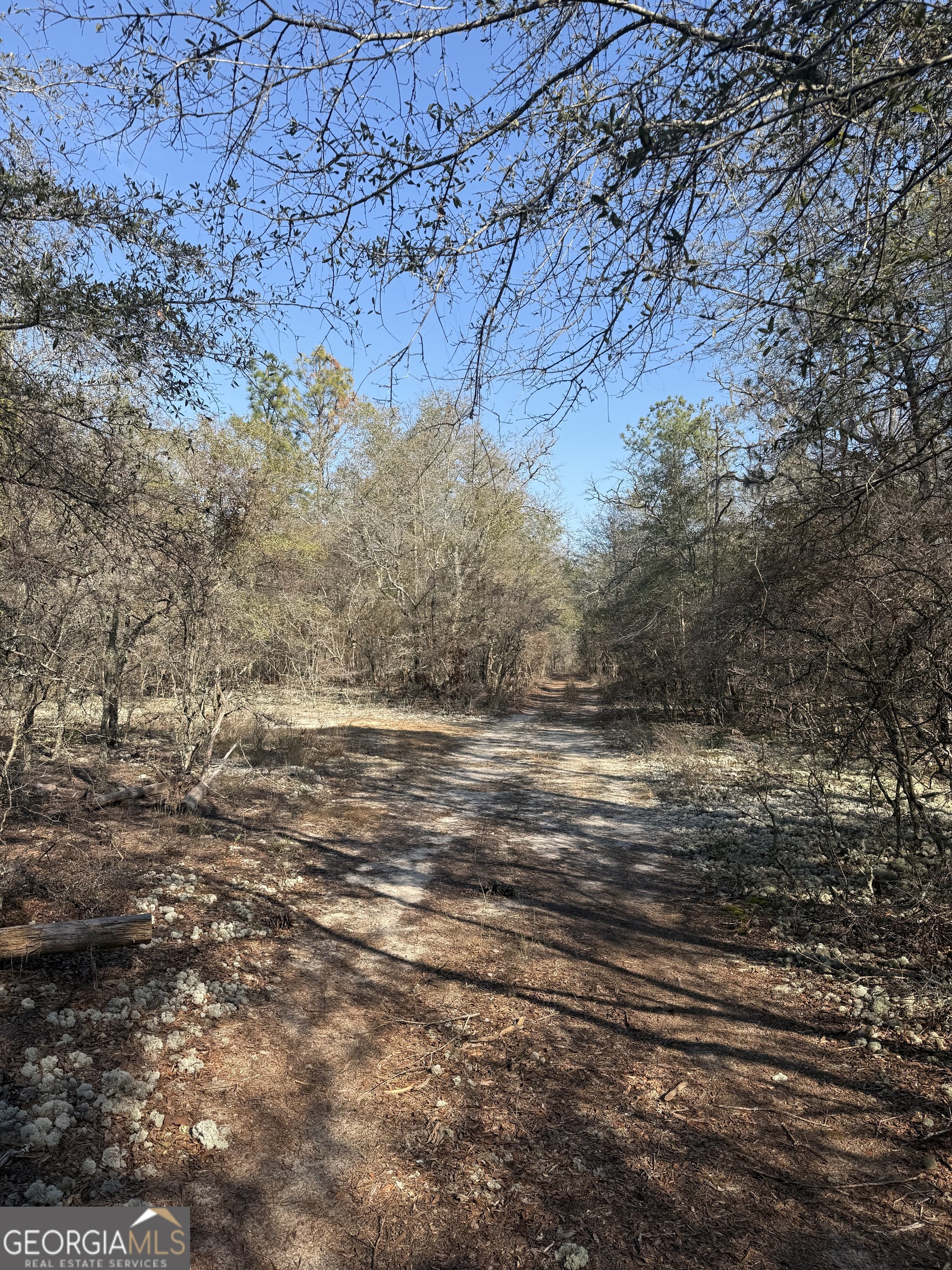 140 Keas Church Circle Adrian, GA 31002 - Photo 14 of 26 a view of mountain view with large trees