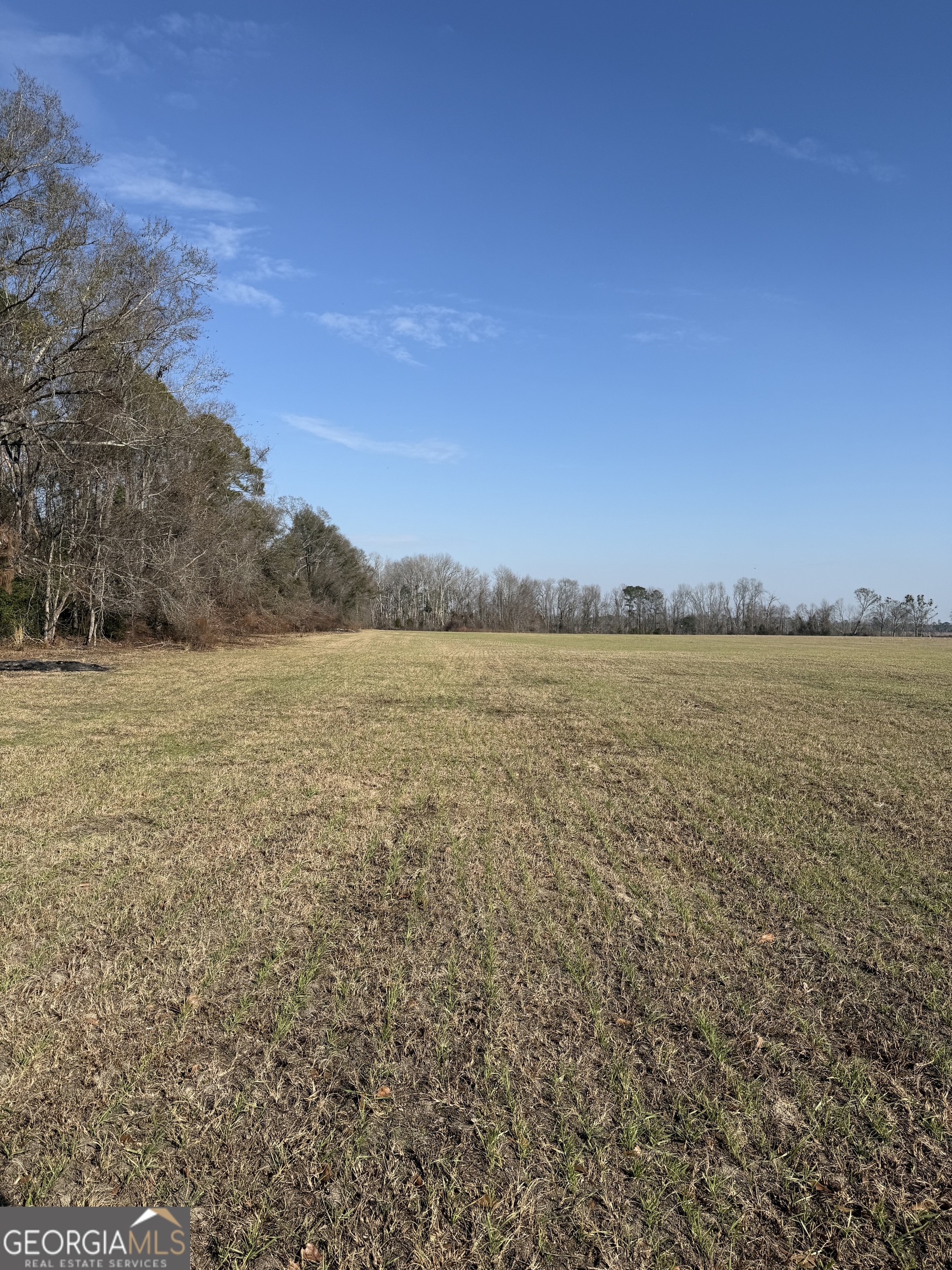 140 Keas Church Circle Adrian, GA 31002 - Photo 15 of 26