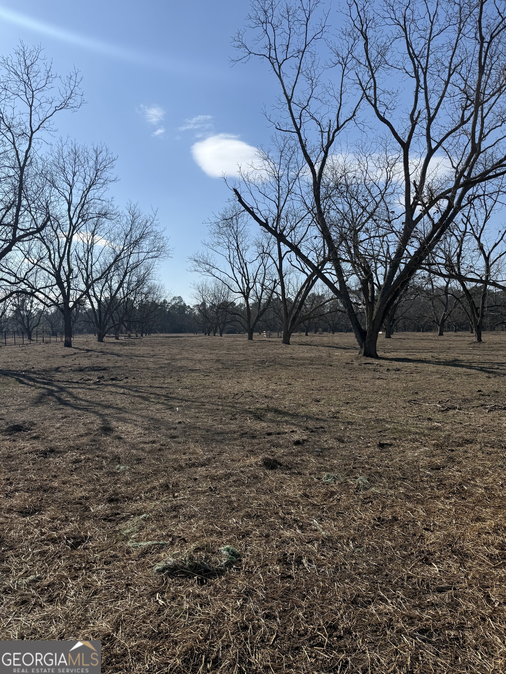 140 Keas Church Circle Adrian, GA 31002 - Photo 16 of 26 a view of dirt yard with a tree