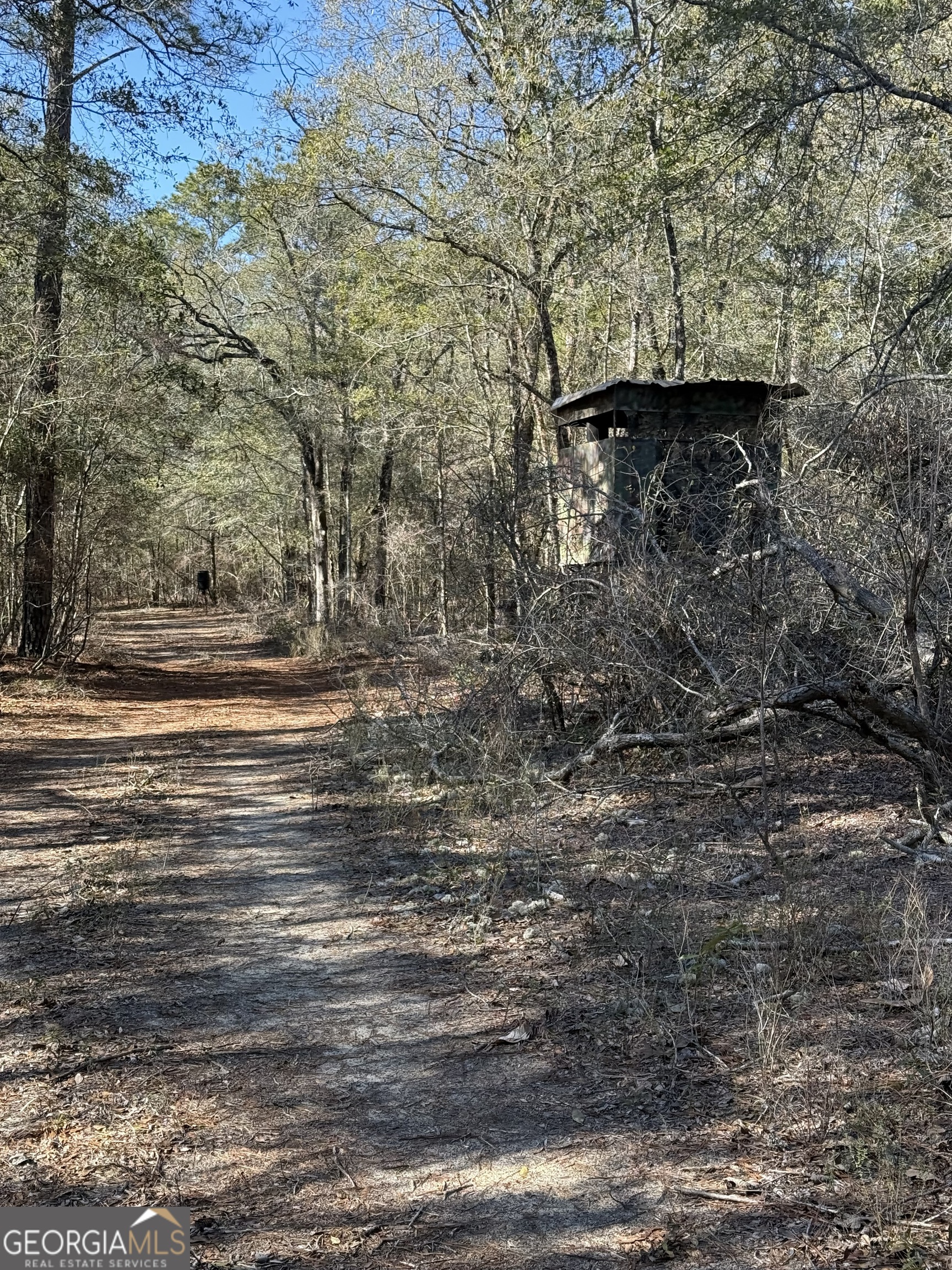 140 Keas Church Circle Adrian, GA 31002 - Photo 23 of 26 a view of a dry yard