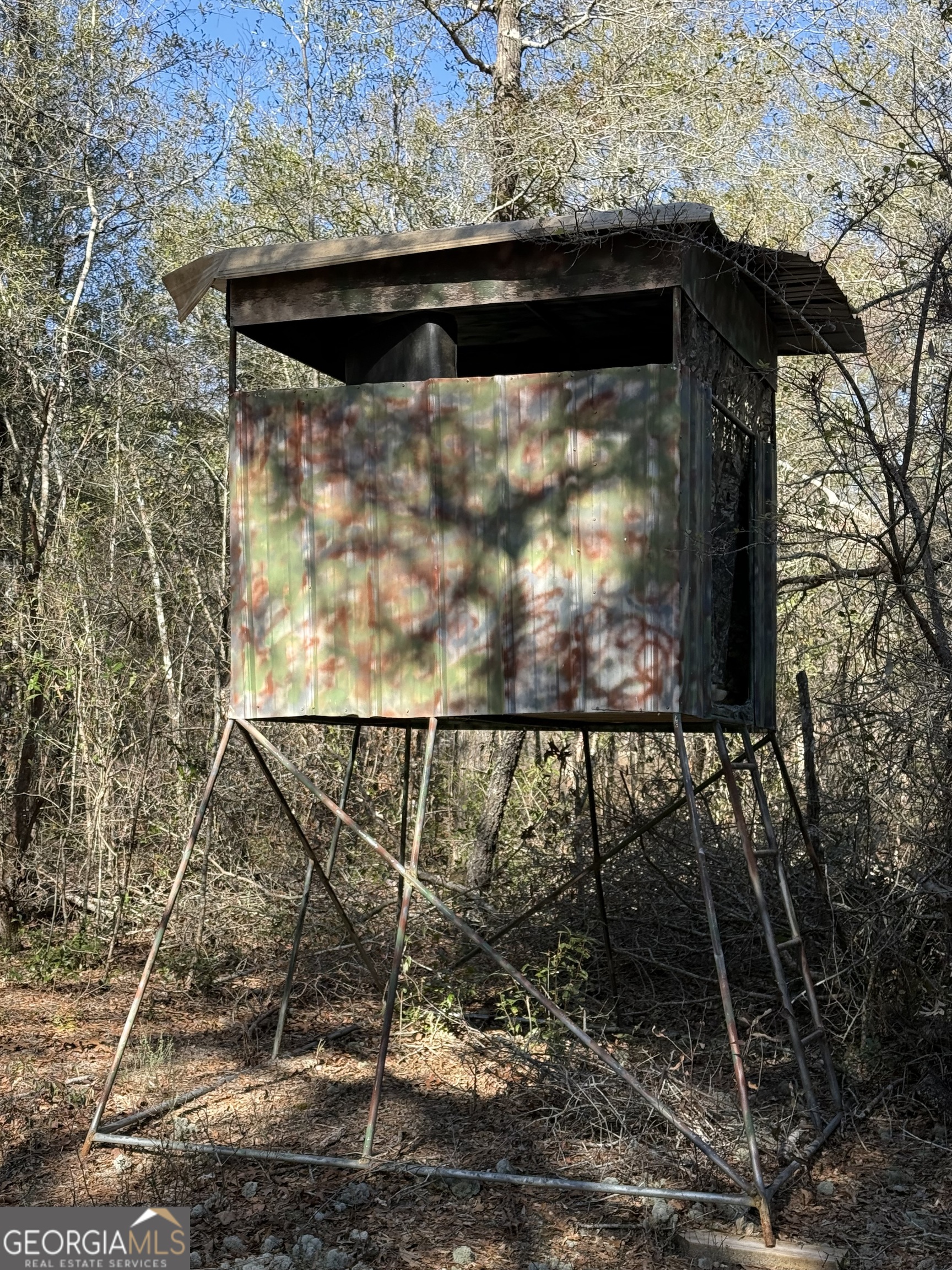140 Keas Church Circle Adrian, GA 31002 - Photo 24 of 26 a view of outdoor space