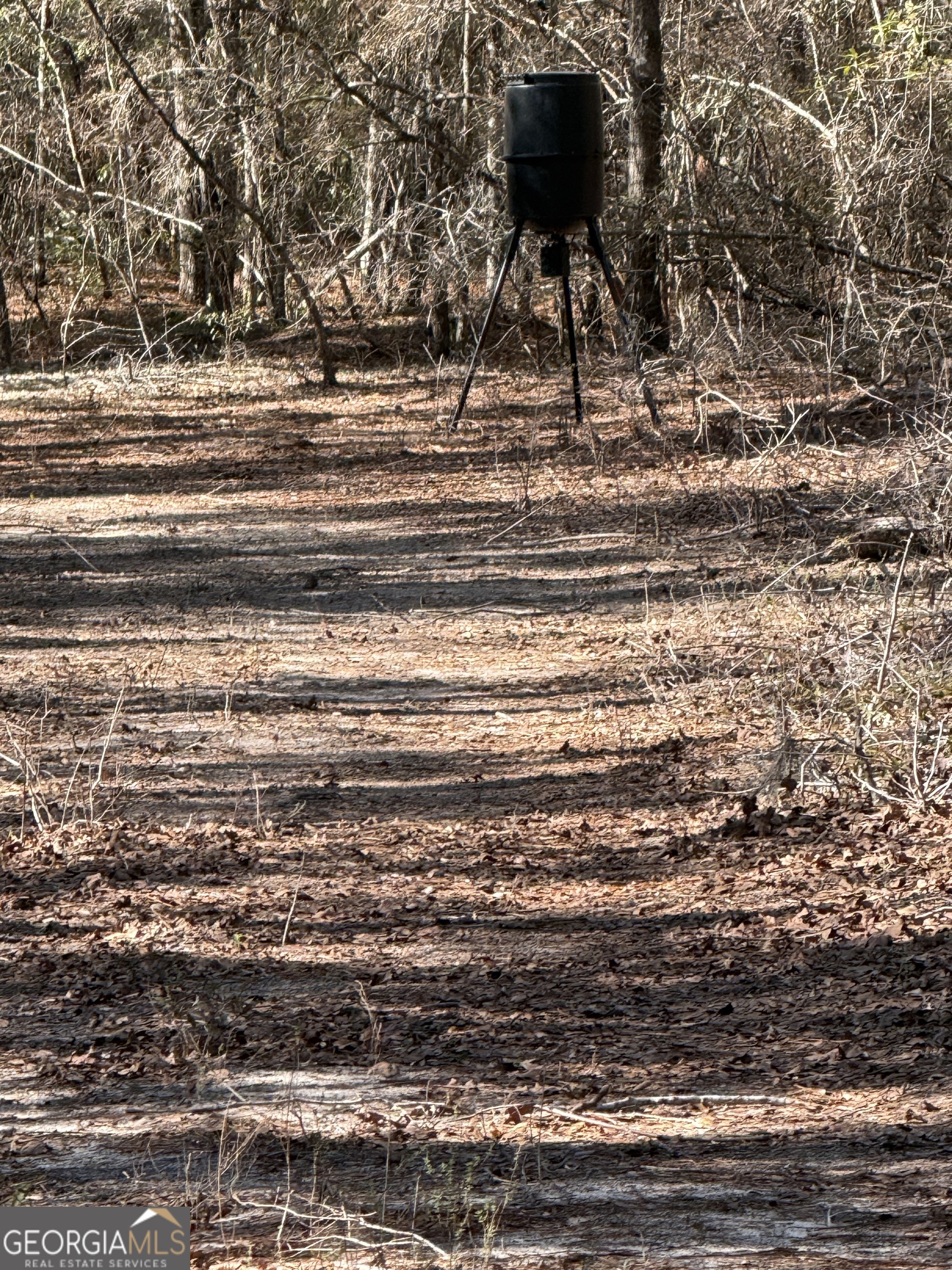 140 Keas Church Circle Adrian, GA 31002 - Photo 25 of 26