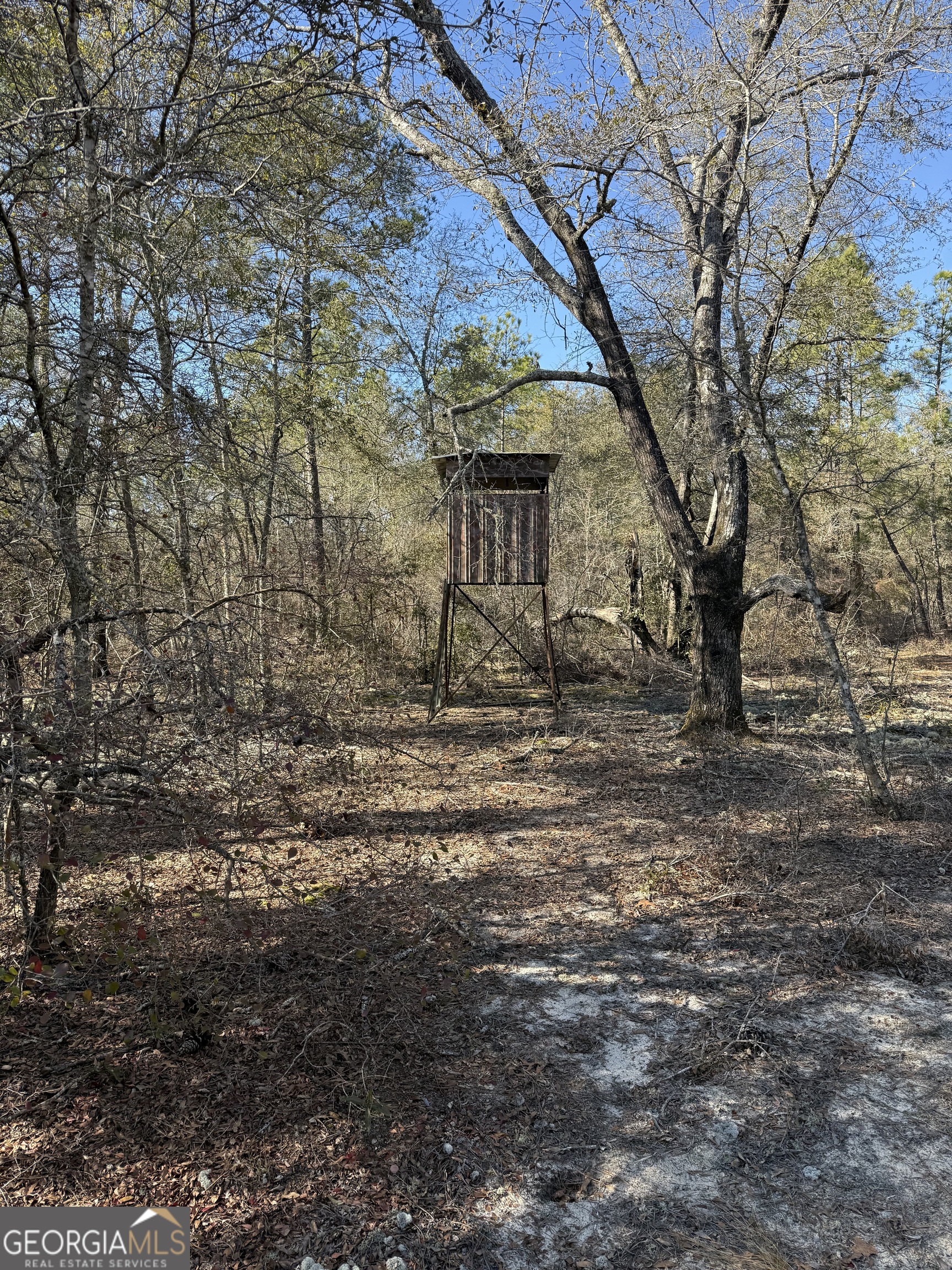 140 Keas Church Circle Adrian, GA 31002 - Photo 26 of 26 a backyard of a house with lots of green space