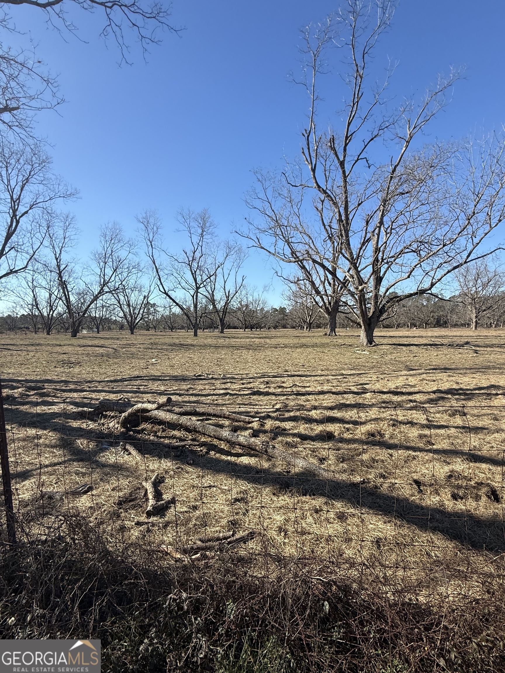 140 Keas Church Circle Adrian, GA 31002 - Photo 3 of 26 a view of an ocean beach