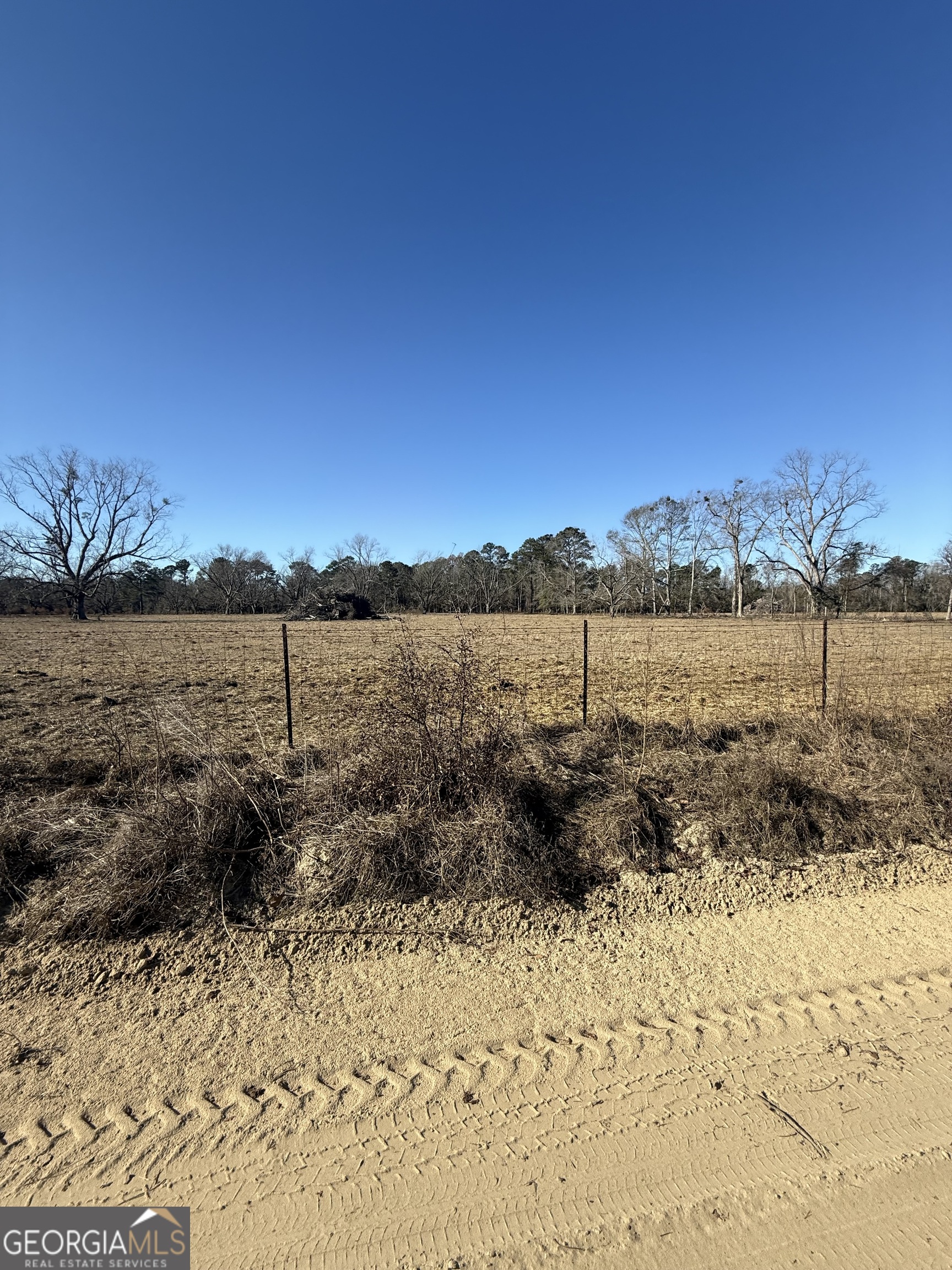 140 Keas Church Circle Adrian, GA 31002 - Photo 4 of 26 a view of a lake with a beach