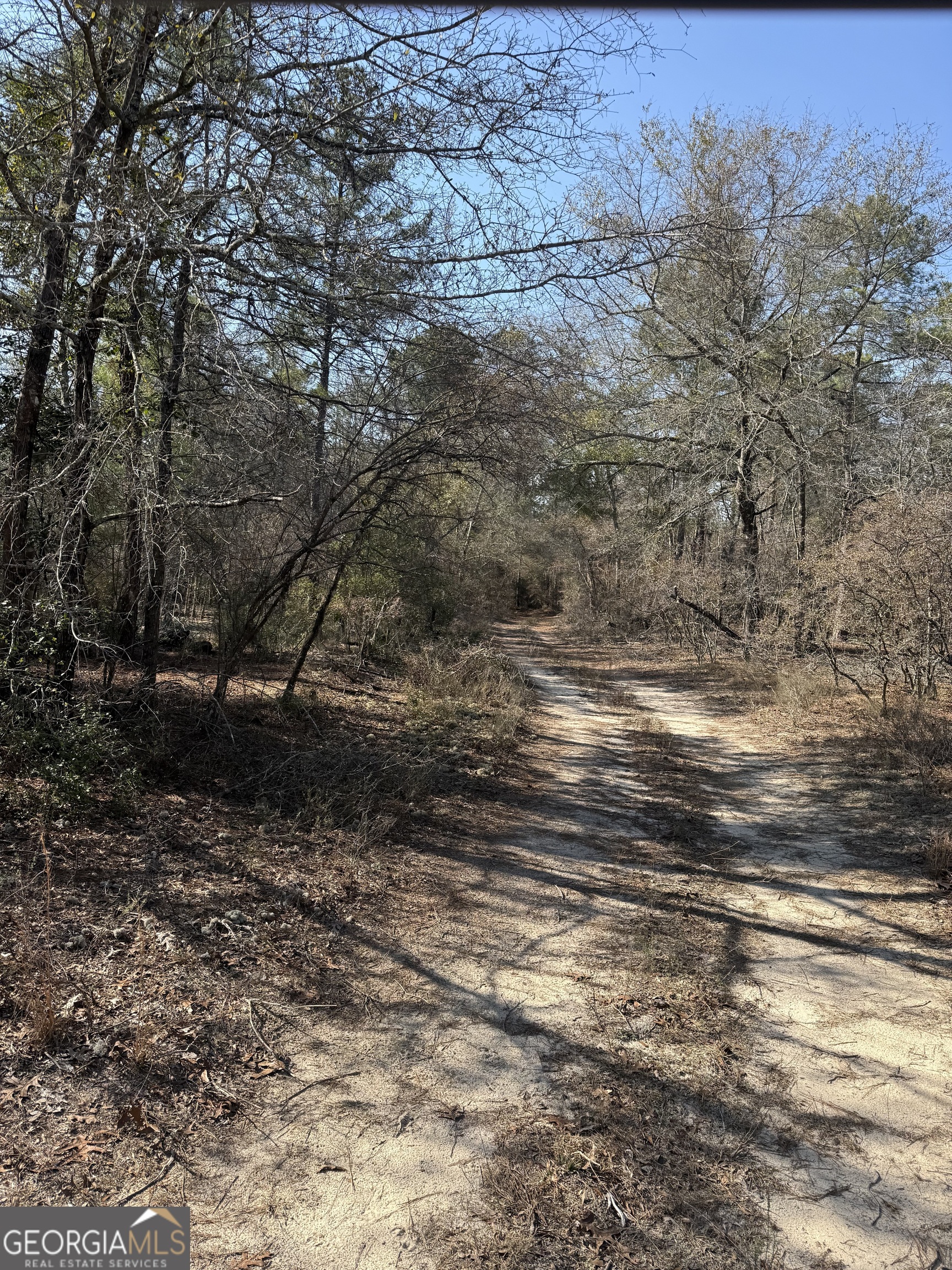 140 Keas Church Circle Adrian, GA 31002 - Photo 7 of 26 a view of a yard with large trees